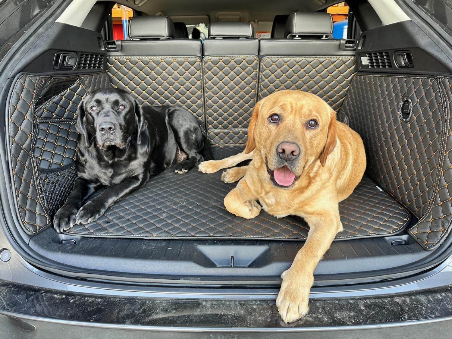 CARSTYLER® Kofferraumschutz Geeignet Für KIA EV2