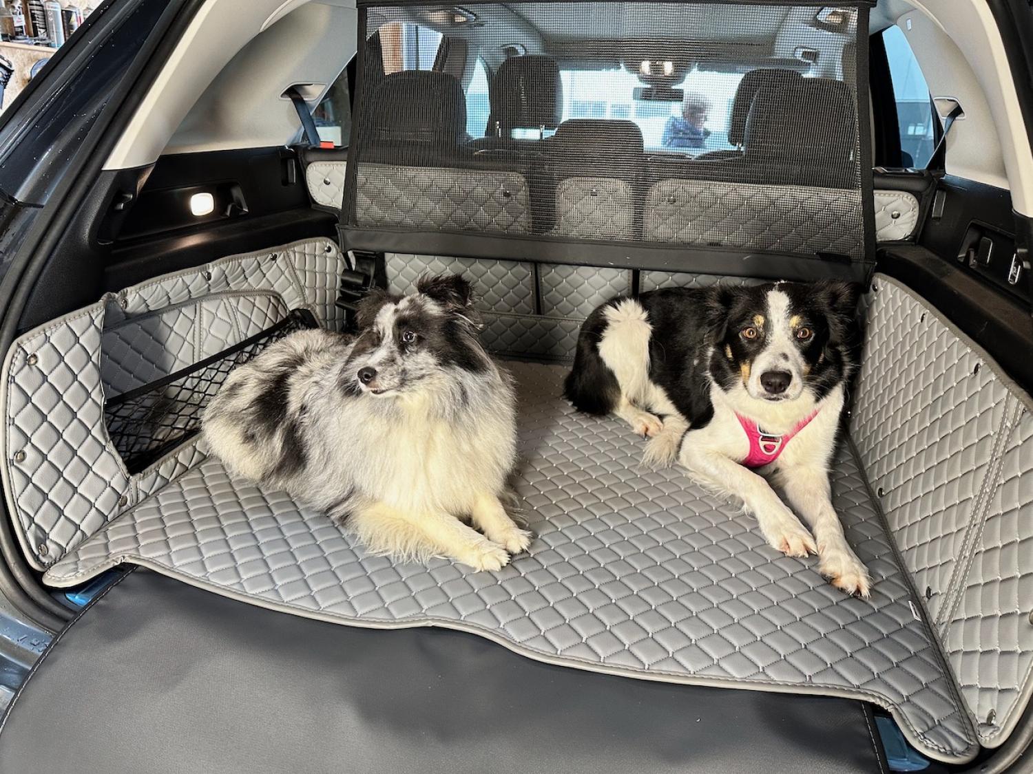 CARSTYLER® Kofferraumschutz Geeignet Für Volkswagen Polo VI 2021 - Heute